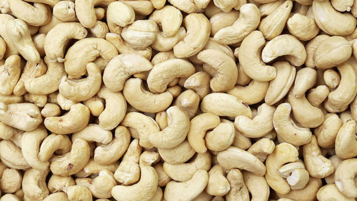 Cashew Contracts